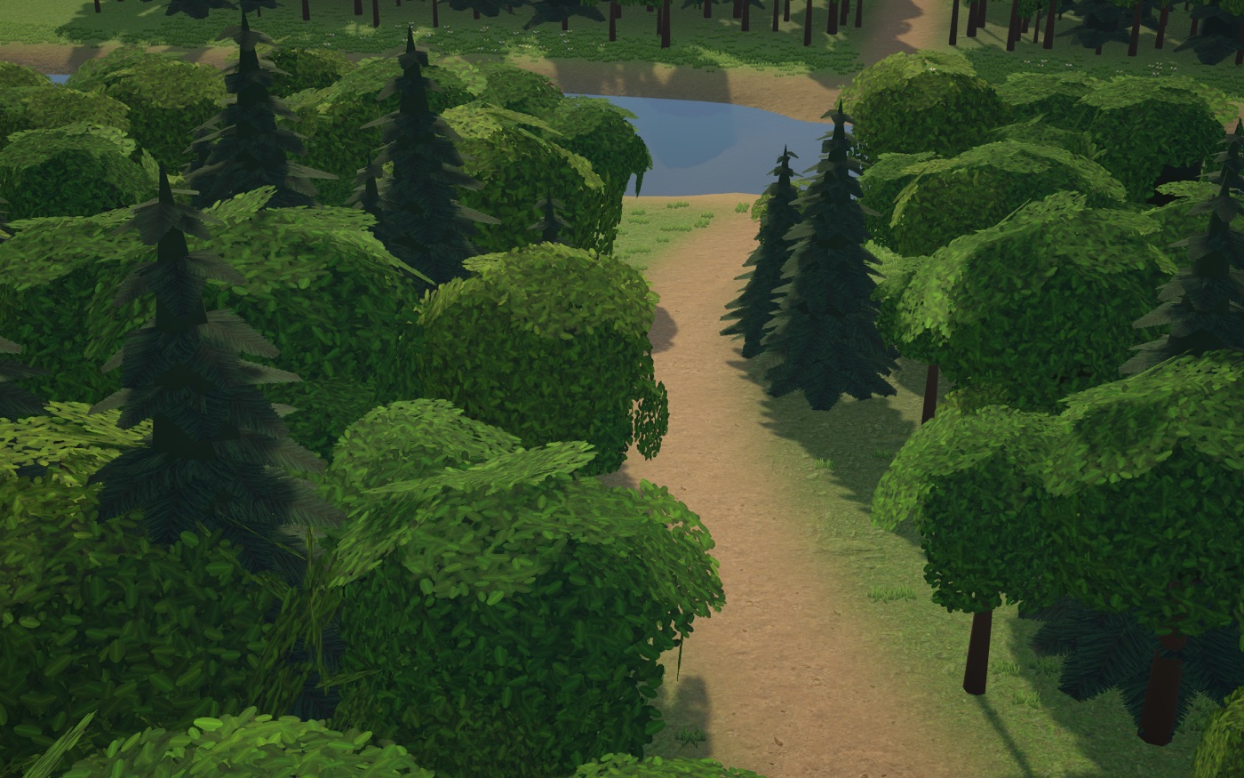 The trail through the forest